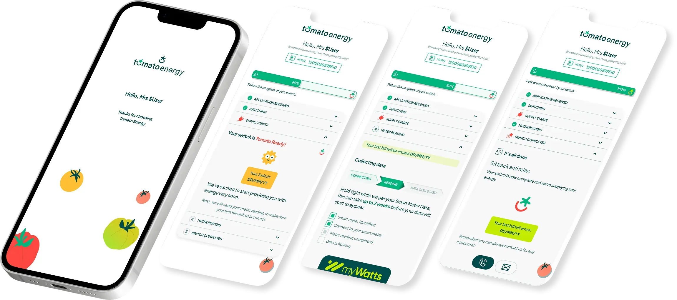 Energy Switching Tracker preview 6